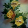 Vivian - Hello Gentle Jesus