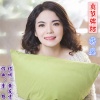 蒋婴 - 贞节牌坊