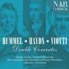 südwestdeutsches kammerorchester pforzheim、Sergej Krylov、Vladislav Czarnecki、Stefania Mormone - I. Allegro con brio