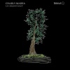Charly Madea - APG103