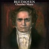 Yehudi Menuhin、Wilhelm Kempff、Amadeus Quartet - Adag. sost., Presto, Tempo I