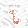 Al Di Meola、Brian Bromberg、Domingo Patricio、Egidijus Buožis、Vytautas Sondeckis、Xavier Desandre Navarre - Labyrinth