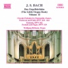 Johann Sebastian Bach - Fantasia in C Minor, BWV 562