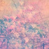 Project AER - Lark Rise