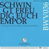 chor、Rudolf Lutz、Orchester der J. S. Bach-Stiftung - I. Chor. 