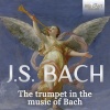 dresdner kreuzchor、Dresdner Philharmonie、Martin Flämig - I. Chorus. Jauchzet, frohlocket!