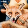 Beginner、Gzuz、Gentleman - Ahnma (Explicit)