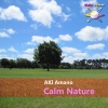 Aki Amano - Calm Nature (Original Mix)