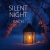 Nathalie Stutzmann、Orfeo 55、Mikaeli Kammarkör - 10. Jesus bleibet meine Freude