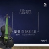 Silvano Guariso - Bach: Violin concerto n. 1 (Violin Concerto No 1 in A minor 1° mov)