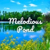 Relaxing Chill Out Music、relax tunes、Binaural Bob - Feeling Good