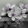 Afternova - Kindness (Orchestral Mix)