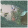 Rudy Raw - Hidden Paradise