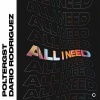 POLTERGST、Dario Rodriguez - All I Need (Extended Mix)