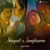 Arijit Singh、Pritam、Jawad Ahmed、Sharib Toshi、Amtee - Shayad X Samjhawan (Lofi Flip)