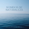 Vibraciones Tranquilas、Masajes Spas、Serenidad y Armonía - Duerme Junto Al Mar