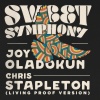 Joy Oladokun、Chris Stapleton - Sweet Symphony (Living Proof Version)