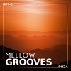 Ria Joyse - Winter In Your Heart (Chillout Mix)