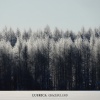 Lusrica - Delight