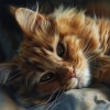 Sleepy Cat、CreativeWaves、Hz Frequency Zone - Silent Whiskers in the Moonlight