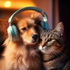 Binaural Brain Waves、Dreamy Pet Music、Relaxing Music for Pets - Soft Paws Rhythms