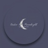 Igor Pumphonia - Under the Moonlight (Original Mix)
