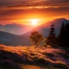 Paisajes Binaurales、Santuario de Relax、Musica Ambiente de The Wood - Melodías Para Calmarse