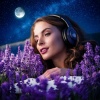 Happy Sunday Morning Music、Meditate with Harmony、Relaxation & Meditation Academy - Restful Melody Harmony