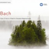 Neville Marriner、George Malcolm、Academy of St. Martin in the Fields - Brandenburg Concerto No. 3 in G Major, BWV 1048: I. —