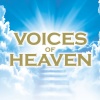 winchester cathedral choir、david hill - Agnus Dei