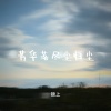 锦上 - 芳华落尽尘归尘