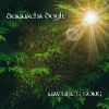 Donnacha Doyle - The Green Dress / McFadden's reel