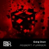 Robert Furrier - Going Down