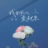 佳音 - 我曾用心爱着你