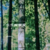 你在暮色中 - 生生世世爱 (竹笛纯音乐)