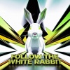 Viral Sound Empire、DJ GOAT Zaddy - Follow The White Rabbit