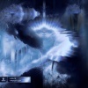 Leks - Haven