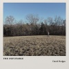 David hodges - The Death Of Who I Thought I'd Be