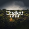 Nature Sounds - After Rain (Version 2 Mix)