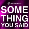 Blended Noise - Something You Said