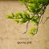 Devon Hayes - Spiritus Pt 2