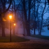 Buddha's Lounge、Relaxing Zen Music Unit、Relaxing Music Therapy Orchestra - Peaceful Melodies for Evening Calm
