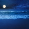 Chillout Lounge Music、Relaxing Music Therapy Play List、Relaxing Sounds Guru - Tranquil Evening Harmony