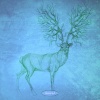 Modulest、Dan Rubell - Signals from Voyager (Dan Rubell Remix)