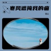 银尘 - 寒风遮掩我的痛