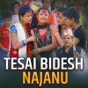 Narayan Rayamajhi - Tesai Bidesh Najanu