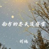 刘纯 - 南方的冬天没有雪 (DJ版)