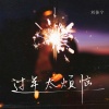 刘佳宁 - 过年太烦恼