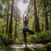 Pensamientos Positivos Maestro、Academica de Música de Yoga y Pilates、Árboles en Llamas - Patrones De Yoga Fluidos