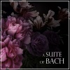 karl münchinger、stuttgarter kammerorchester - J.S. Bach: Orchestral Suite No. 1 in C Major, BWV 1066: 1. Ouverture